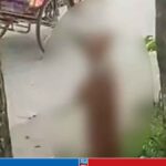 ছাগলকে কামড় দেওয়ায় গাছে ঝুলিয়ে কুকুর হত্যা, ভিডিও ভাইরাল
