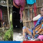 পুকুরপাড়ের ঝুপড়ি ঘরে মৃত্যুর প্রহর গুনছেন বিমলা রানী