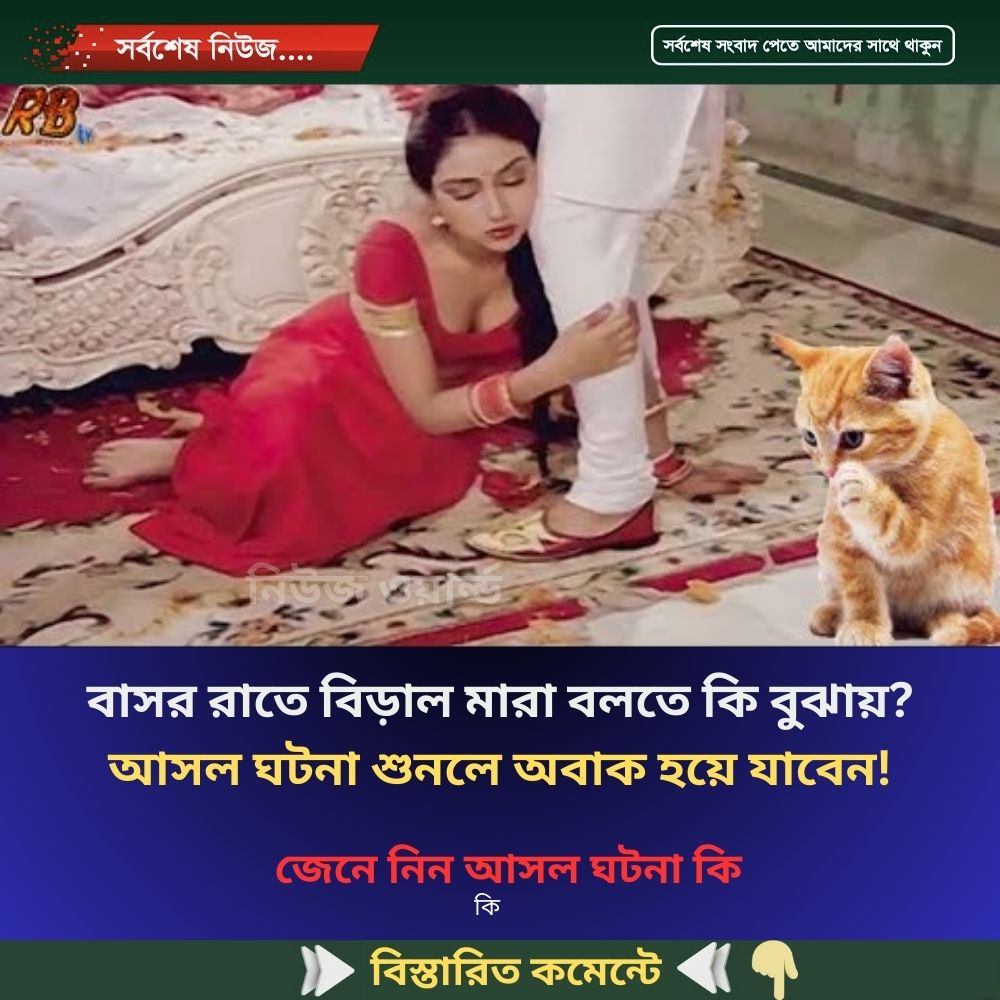 বাসর রাতে বিড়াল মারা বলতে কি বুঝায়? আসল ঘটনা শুনলে অবাক হয়ে যাবেন!
