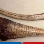 মক্কার জাদুঘরে কোরআন লিখনের প্রাচীন নিদর্শন