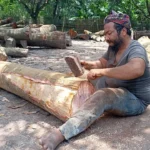 ‘তুই কি দেখতে পাস না?’—মায়ের সেই প্রশ্নের উত্তর আজও দিয়ে চলেছেন মুকলেস